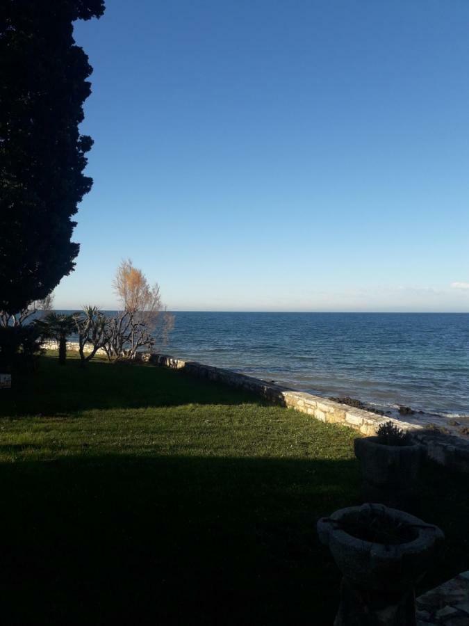 Dajla 66 Villa Exteriör bild